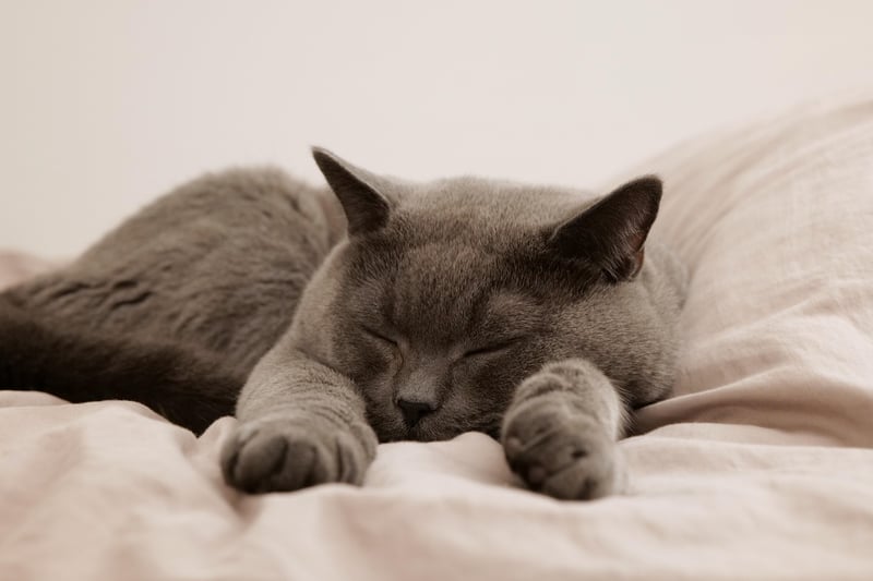 Sufficient Sleep